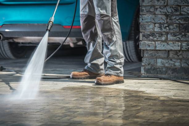 Best Roof Washing  in South Miami Heights, FL
